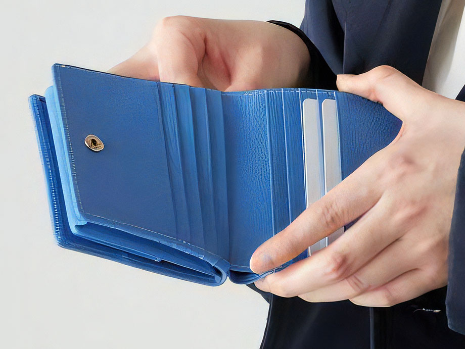 hamano grace wallet spera / _vH|EO[XEHbgEXy