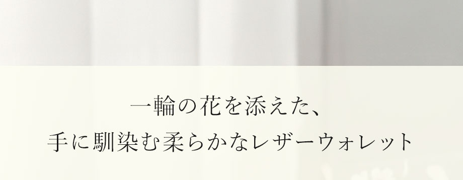 hamano HANAEL long wallet fiore / �_���v�H�|�EHANAEL �����z�E�t�B�I�[��