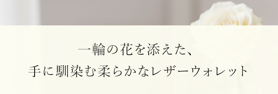 hamano HANAEL clasp trifold mini wallet fiore / �_���v�H�|�E���܌��O�܂�~�j�E�H���b�g�E�t�B�I�[��