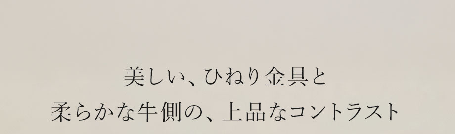 hamano 2way shoulder tote bag dinita / _vH|EQwayV_[g[gobOEfBj^