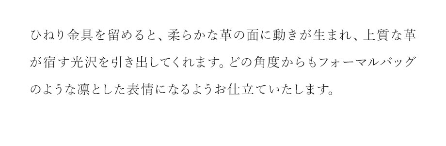 hamano 2way shoulder tote bag dinita / _vH|EQwayV_[g[gobOEfBj^